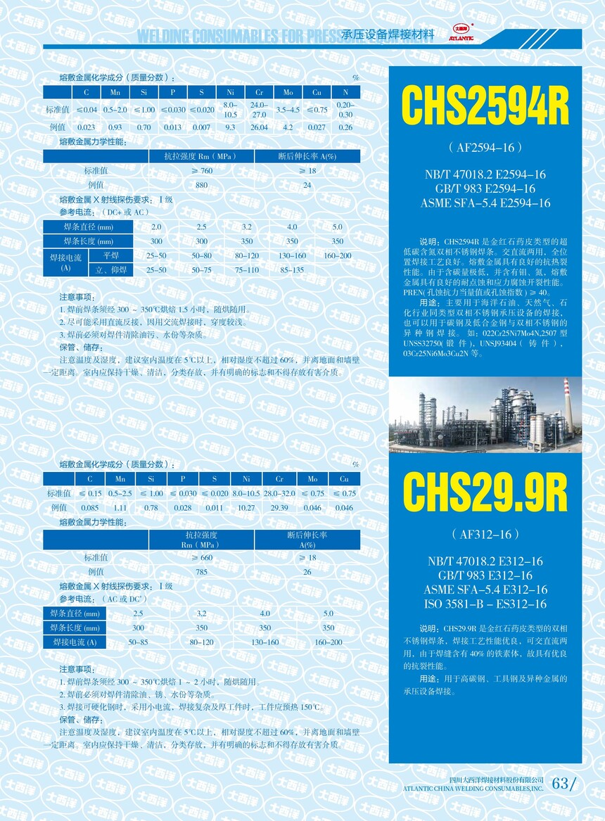 CHS2594R  CHS22.9R.jpg