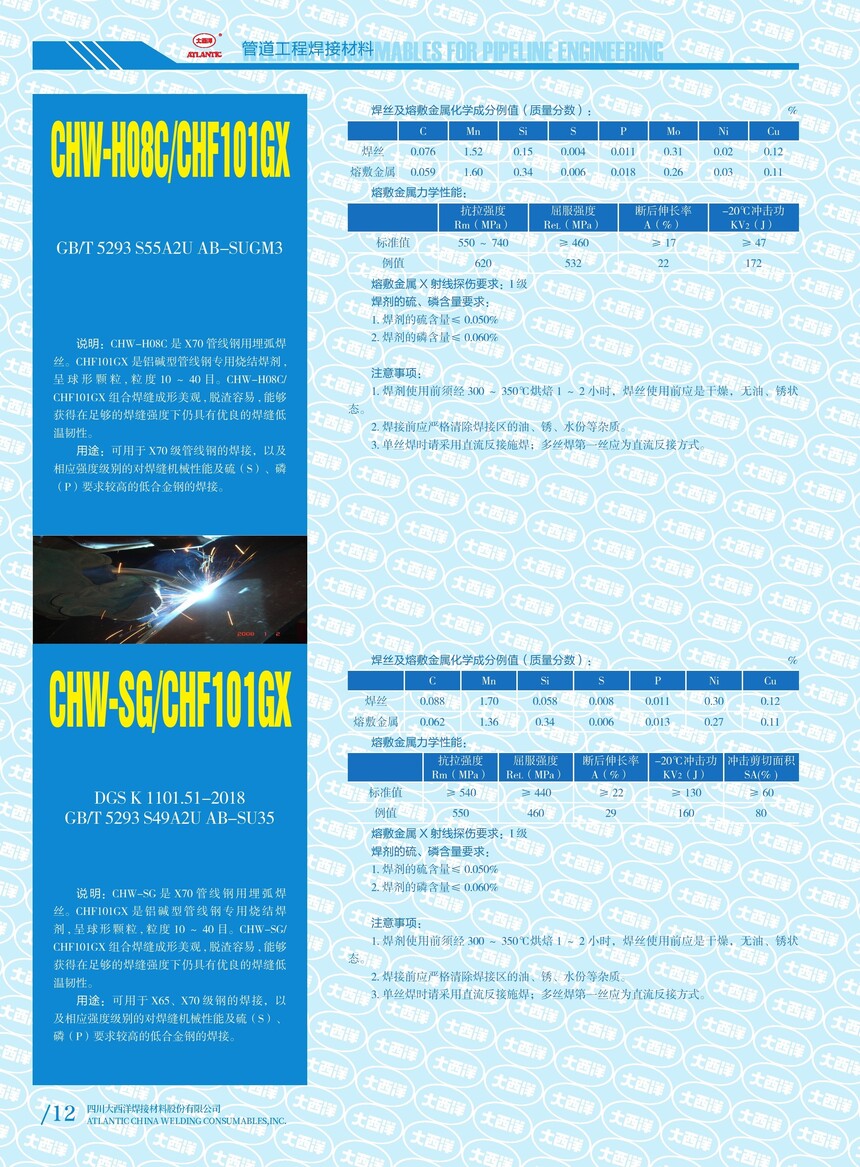 CHW-H08C&CHF101GX CHW-SG&CHF101GX.jpg
