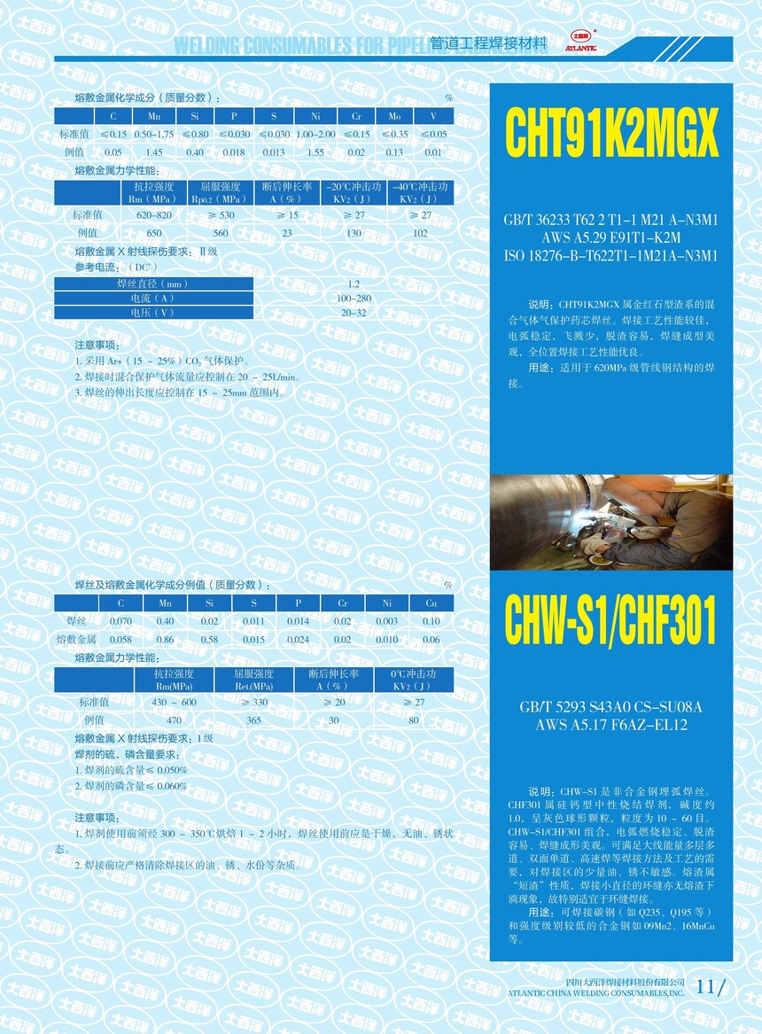 CHT91K2MGX CHW-S1&CHF301.jpg