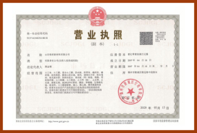 公司榮譽(yù)獎(jiǎng)項(xiàng)