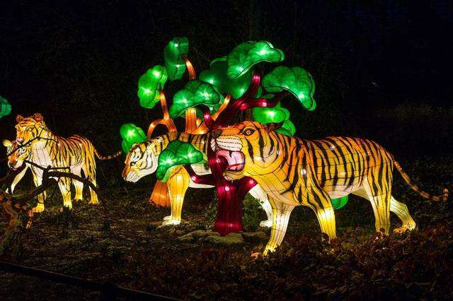 虎的彩灯