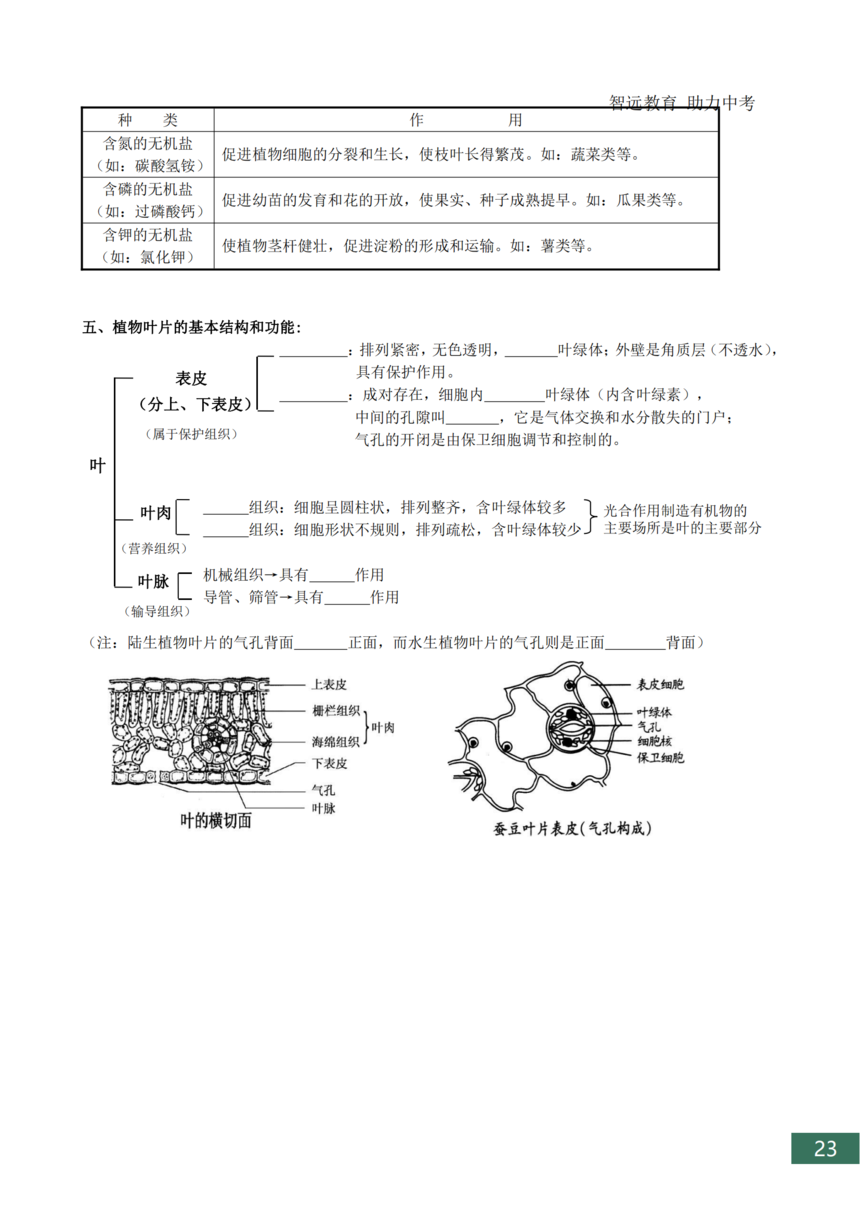 �п�����֪ʶ���ܽ�_23.png