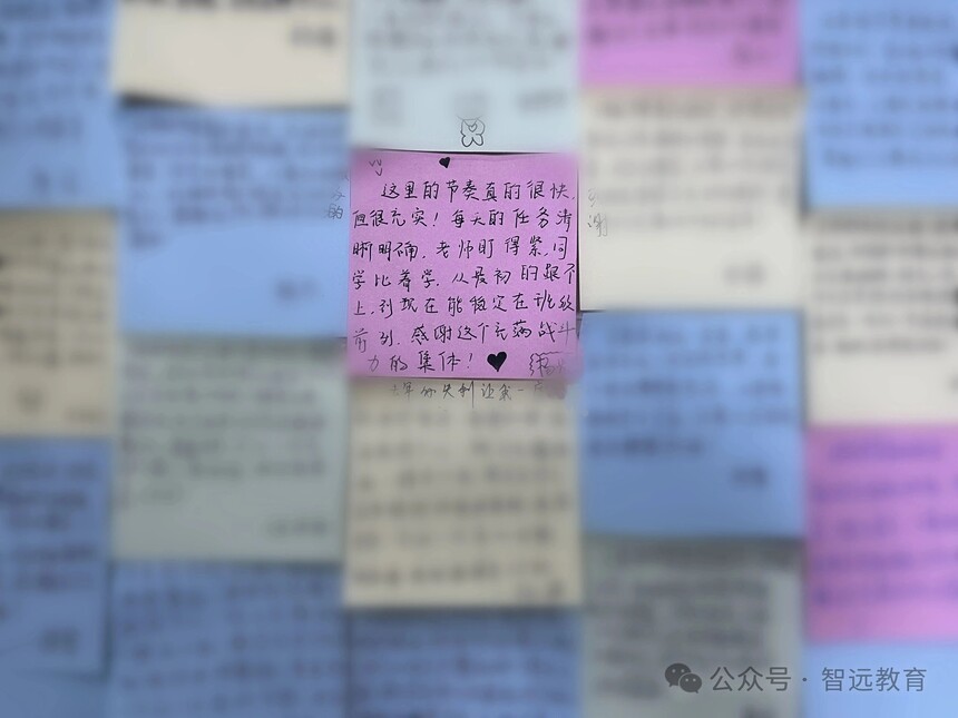 1772763849418058.jpg 微信图片_2026-03-06_100016_623.jpg