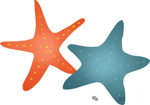 1785032065499638.png 640 (3).png