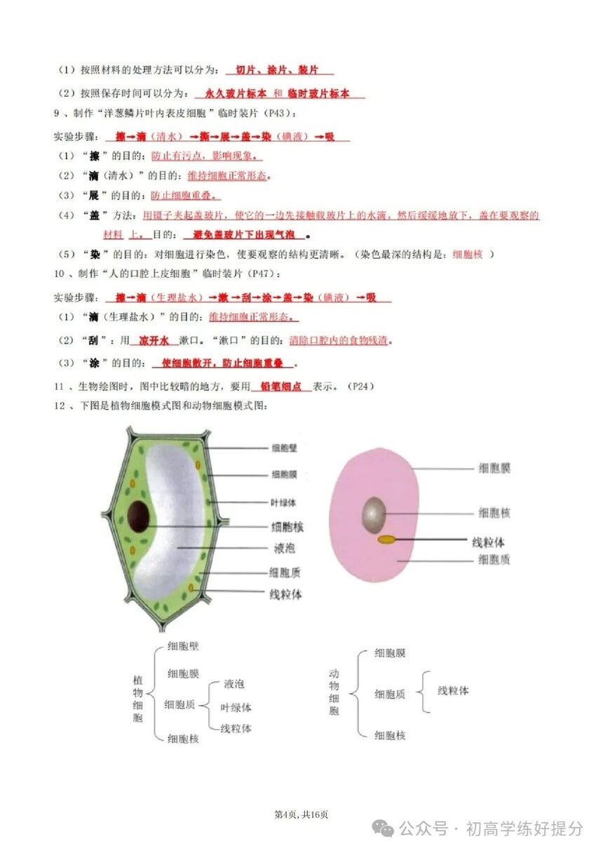 1786182014661098.jpg 640 (3).jpg