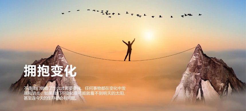 未标题-2_画板 1 副本 4.jpg