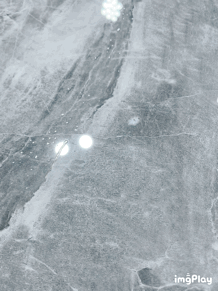 1622459931494318.gif