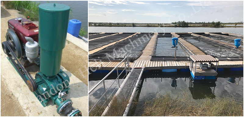 Roots Type Aerator Blower For Fish Farm.._.jpg