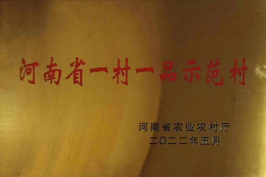 1658477062548603.jpg