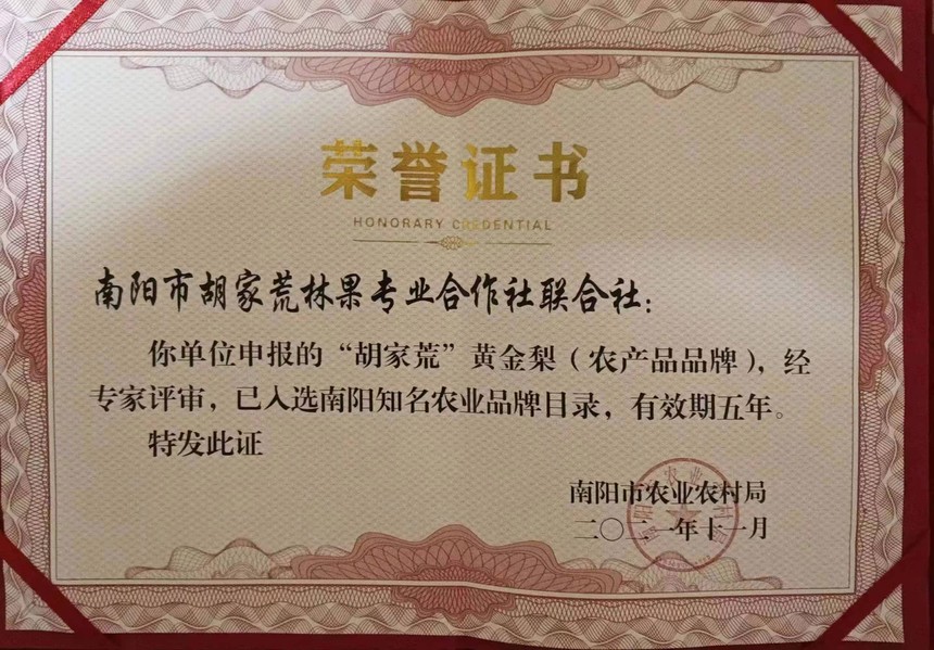 1658477209363459.jpg