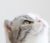 1750928873714597.png