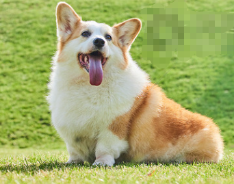 1779071369476014.png 1772273187917775.png