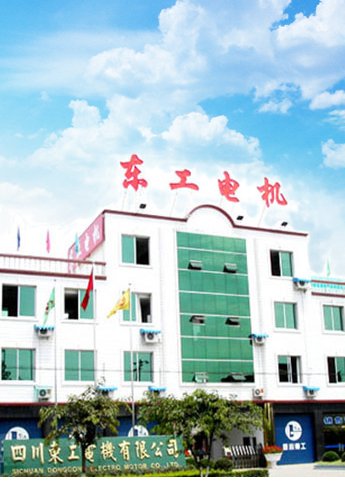 四川东工电机有限公司欢迎您