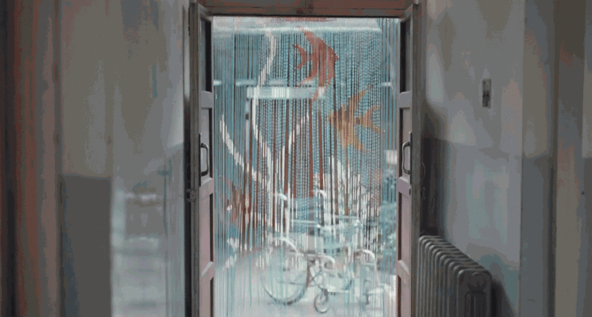 5.gif