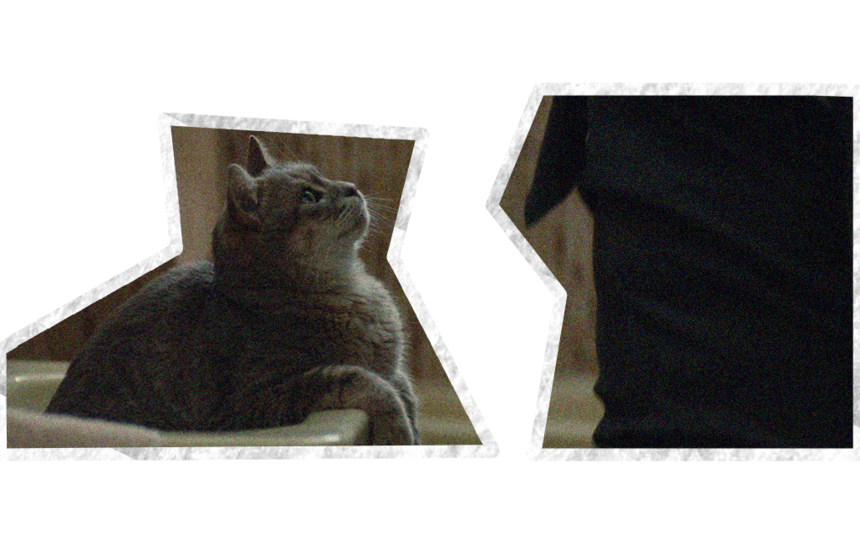 0.png