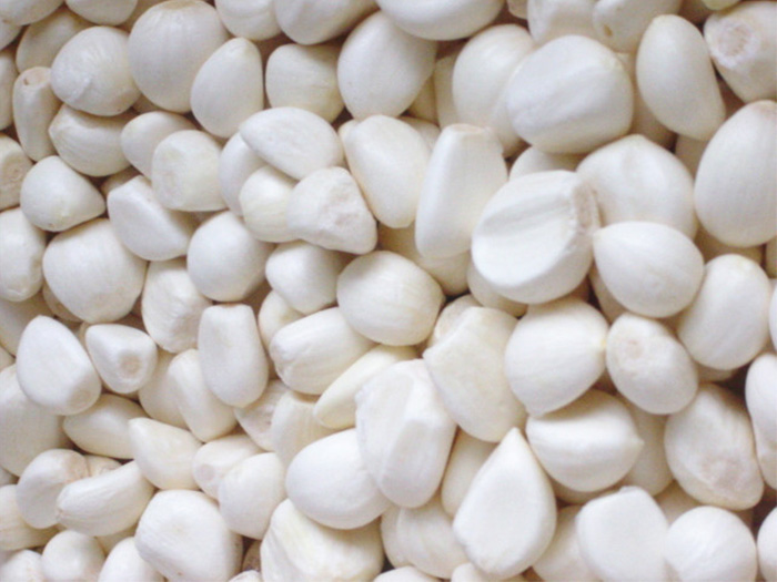 5013-IQF-garlic.jpg