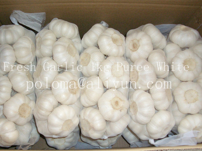 8002-fresh-garlic-1kg.jpg