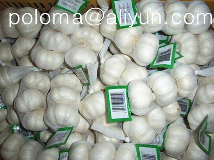 8003-Fresh-Garlic-3pces.jpg