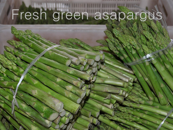 8009-Fresh-green-aspargus.jpg