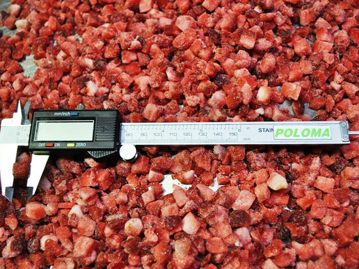 3002-IQF--Strawberry-Diced.jpg