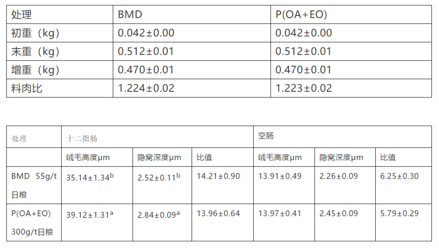 d1234a2263bddc62933c5729a3786b65.png