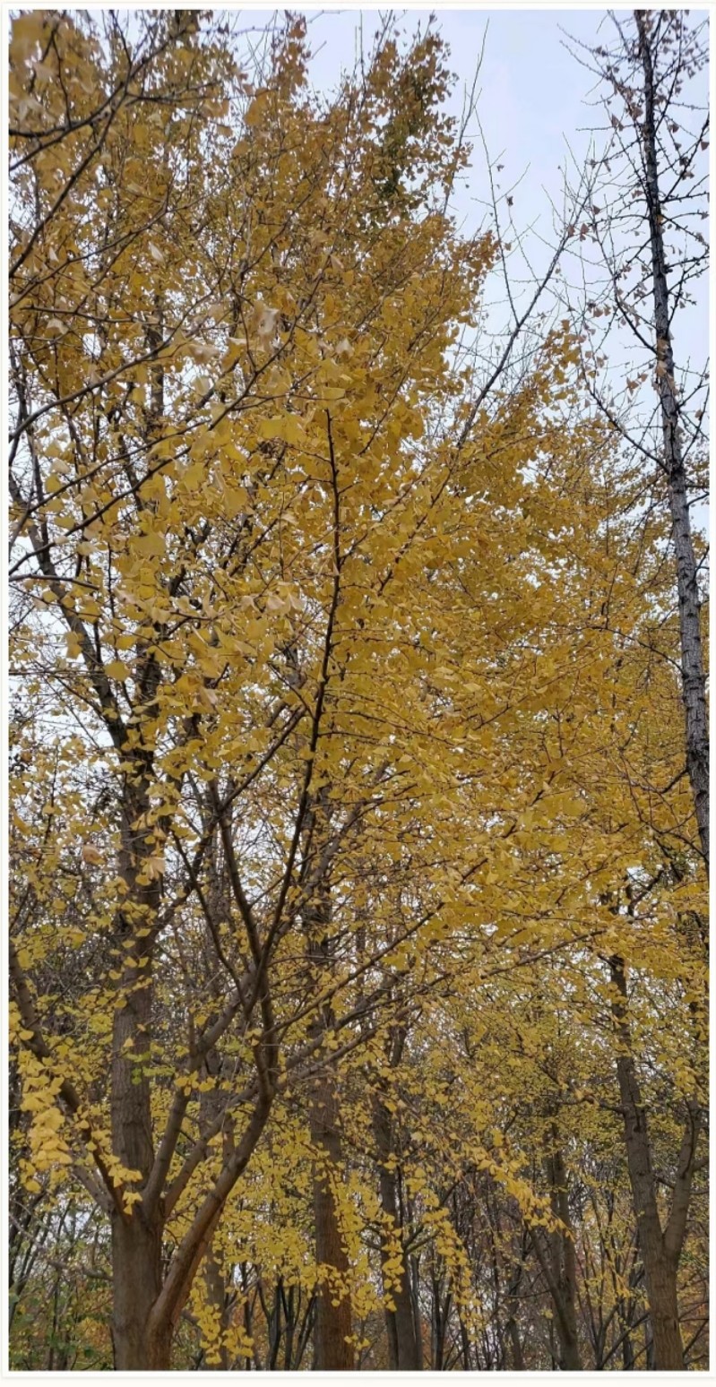 ΢ͼƬ_20211122084759.jpg
