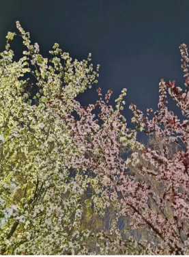 ΢ͼƬ_20230329090917.png