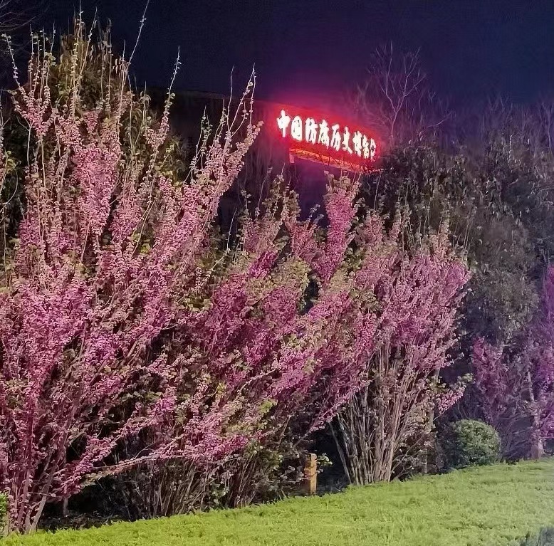 image.jpeg