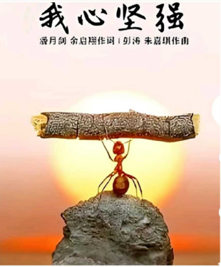 1a4190575814c0f89e4bef0971005ff.png