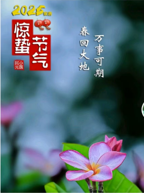 fd4d05ed3d77cc0d30b01c55fd7d120.png