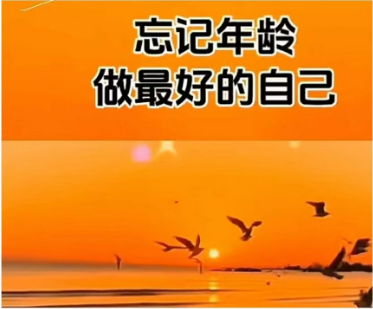 a0ac831139d2b0cede3796d673cd6f5.png