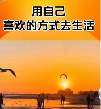 db116a464b913348ec99e26eb3e3974.png
