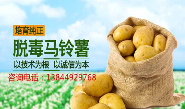 携手共建绿色家园吉林曙丰农业科技有限公司是集马铃薯等农作物新品种