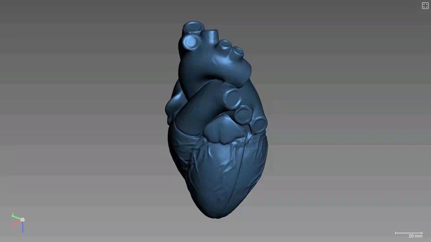 3Dɨҽ