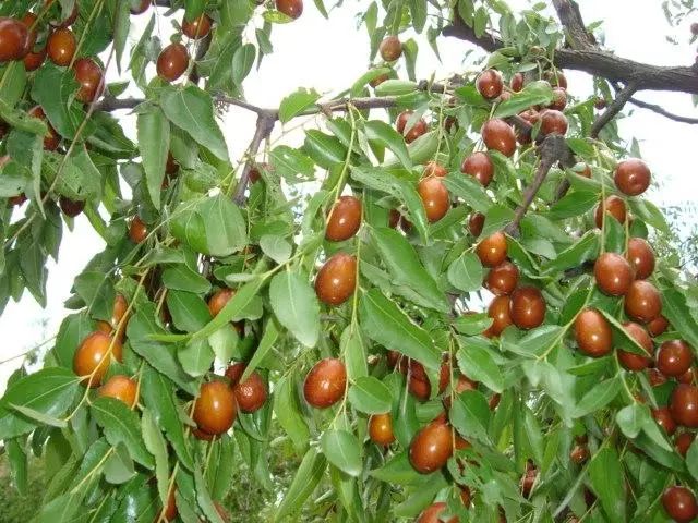 微信圖（tú）片_20220919085028.jpg