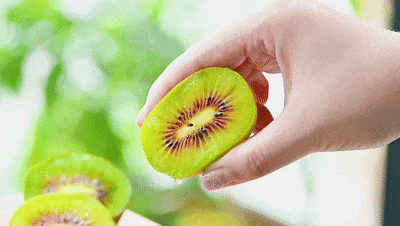 微信图片_20230920084933.gif