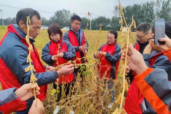 陕西农垦大华种业公司大豆新品种陕垦豆4号亩产达255.5公斤