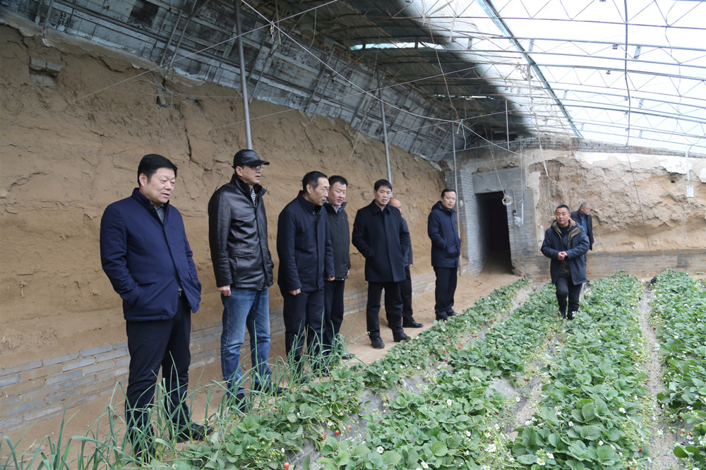 省农垦集团开展节前冬季农业生产和安全生产调研督导