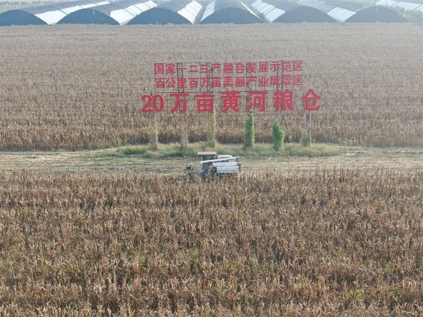 朝邑1111.jpg