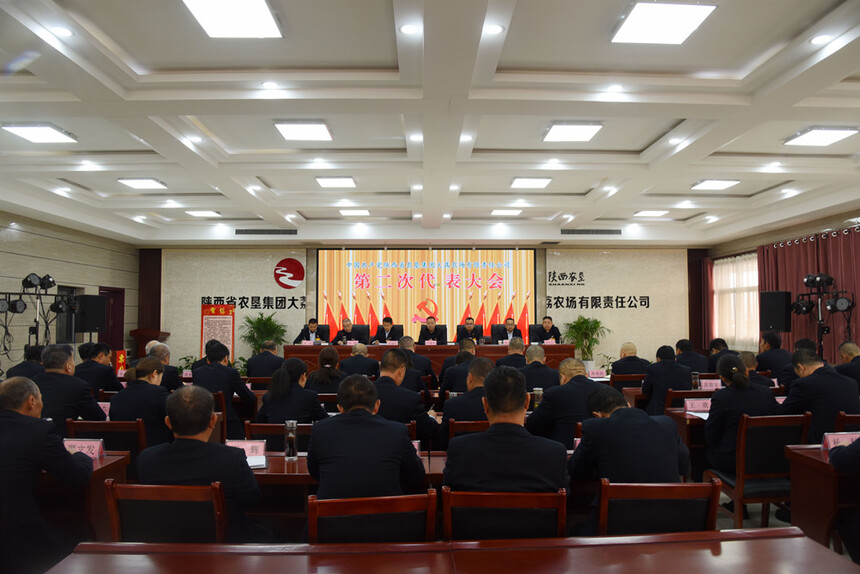 1711089051529128.jpg 大荔党代会11.jpg