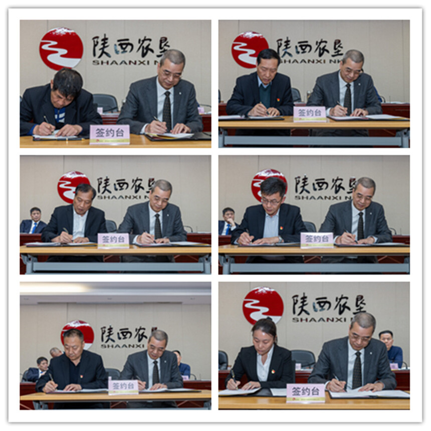 ǩ11.jpg
