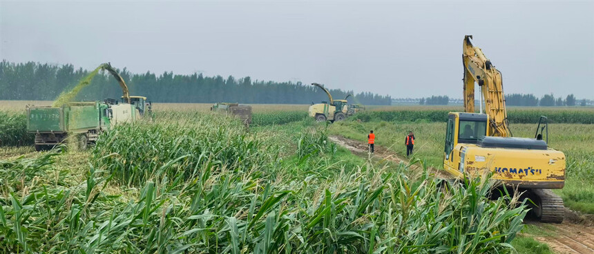 1760081296535762.jpg 華陰22.jpg