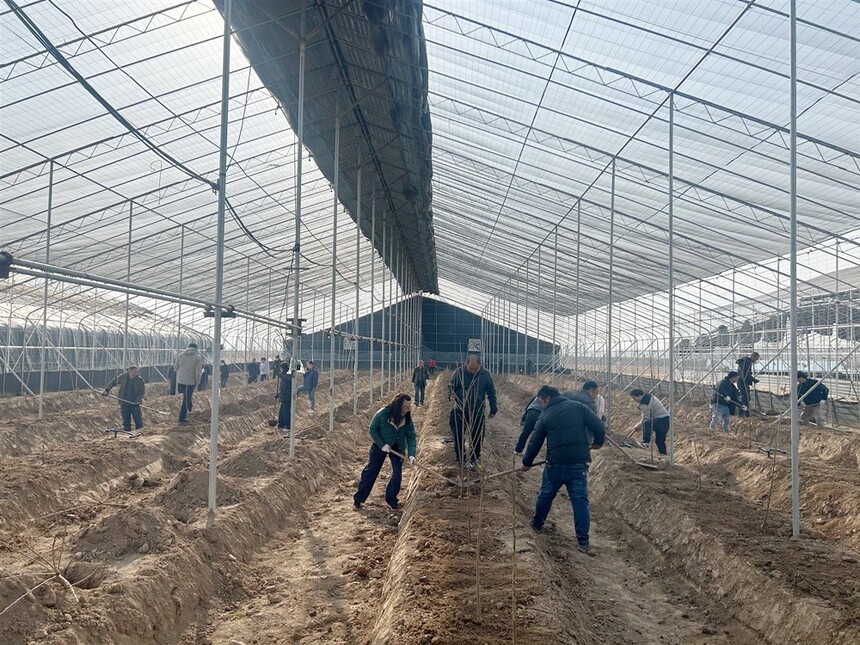 1765415493633450.jpg 华阴111.jpg