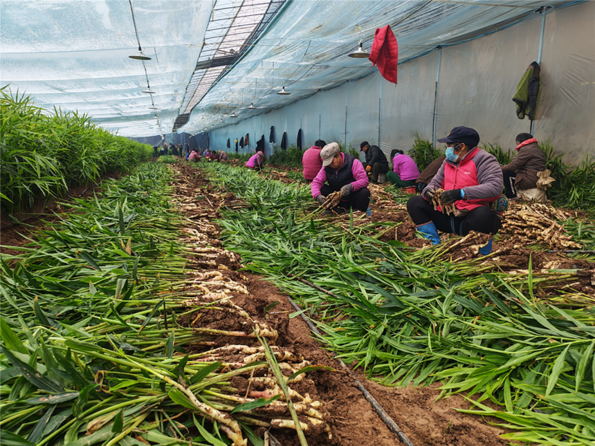 1770253420705607.png 华阴1111.png