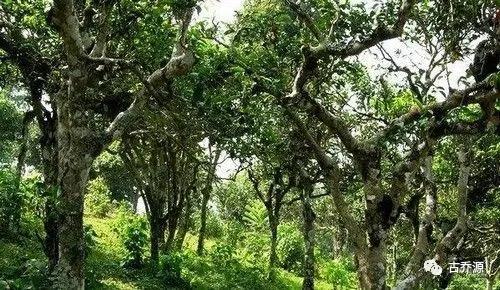 ΢ňDƬ_20210928104352.jpg