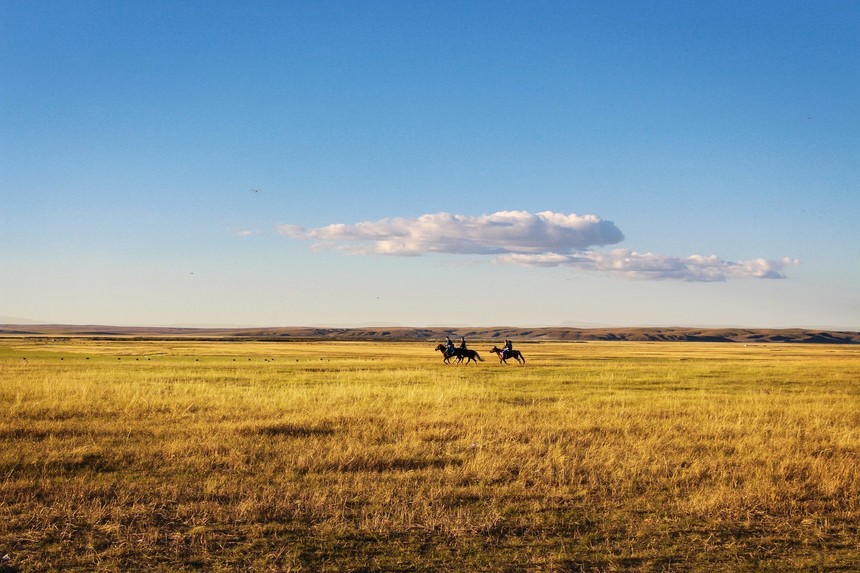 horseback-riding-678678_1920.jpg