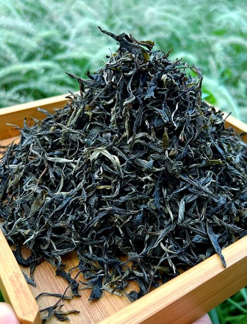 1764727311353635.jpeg 3e251f4fa12efa4f4faa881b8e02e5e8.jpeg