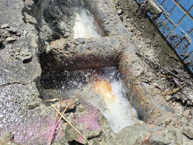 1750916966967883.jpeg 9aa2304316aab98f6598caf1b9701c02.jpeg