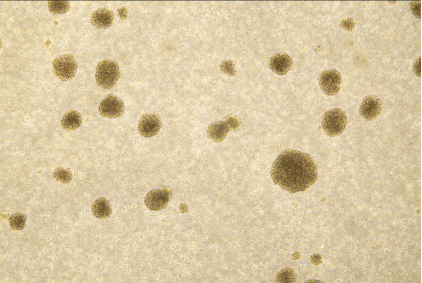 1723097994992046.png 微信图片_20240808141926.png