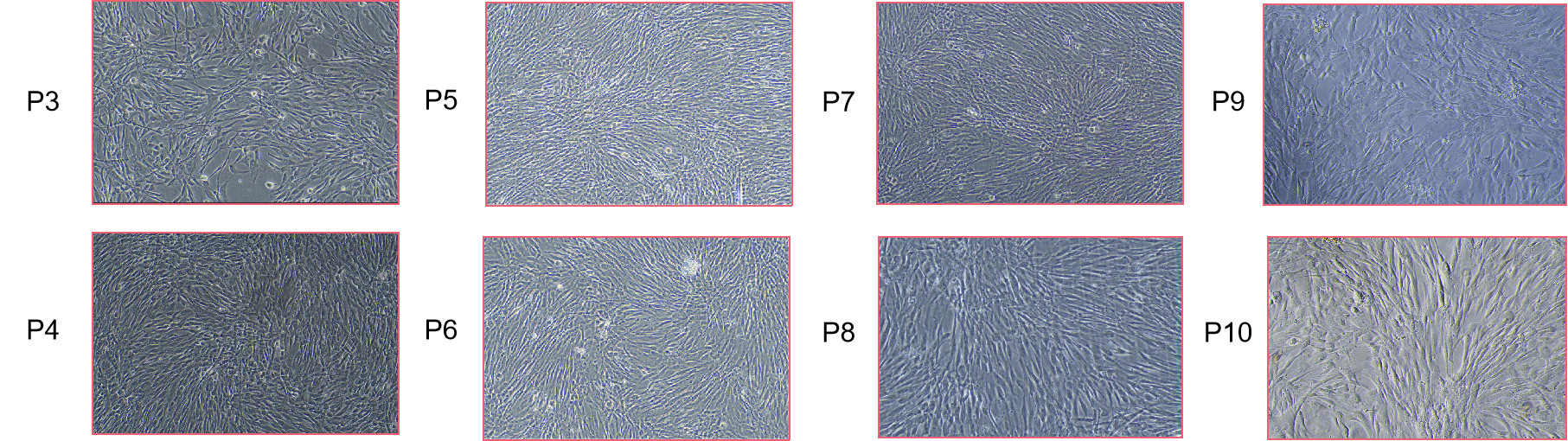 1739350587699149.png 图片3.png